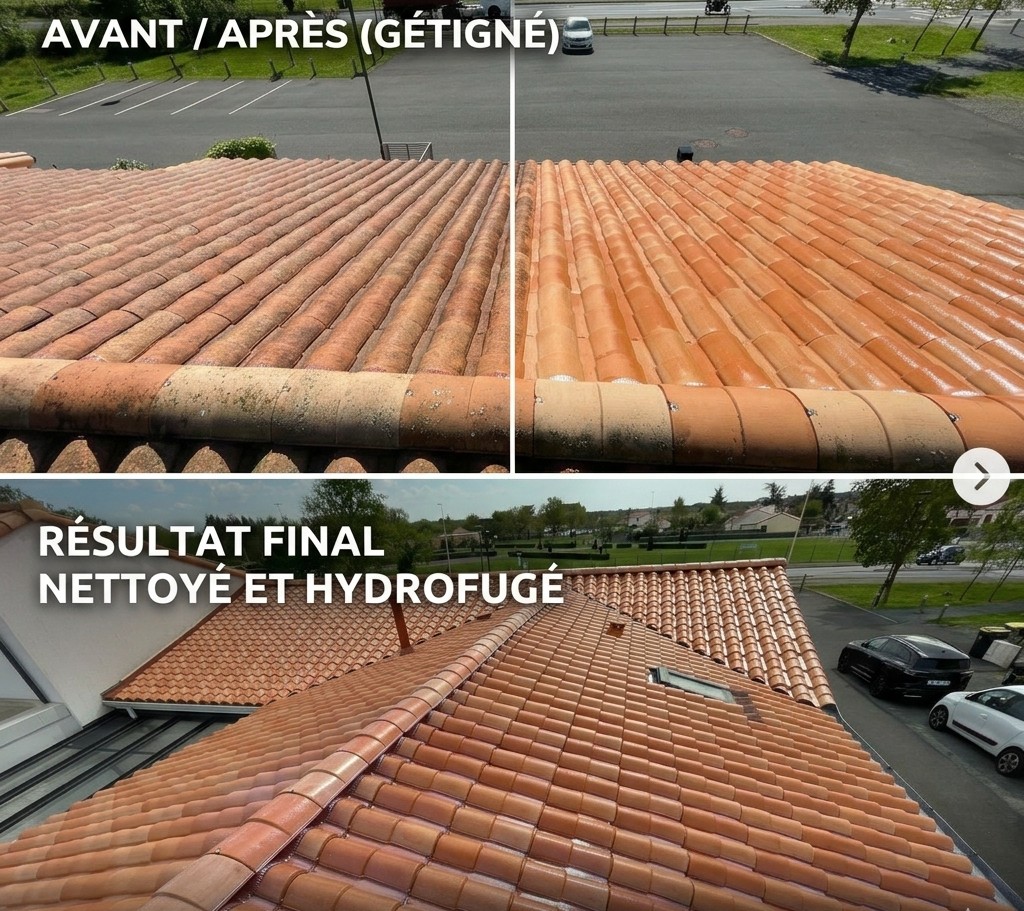 nettoyage toiture Gétigné